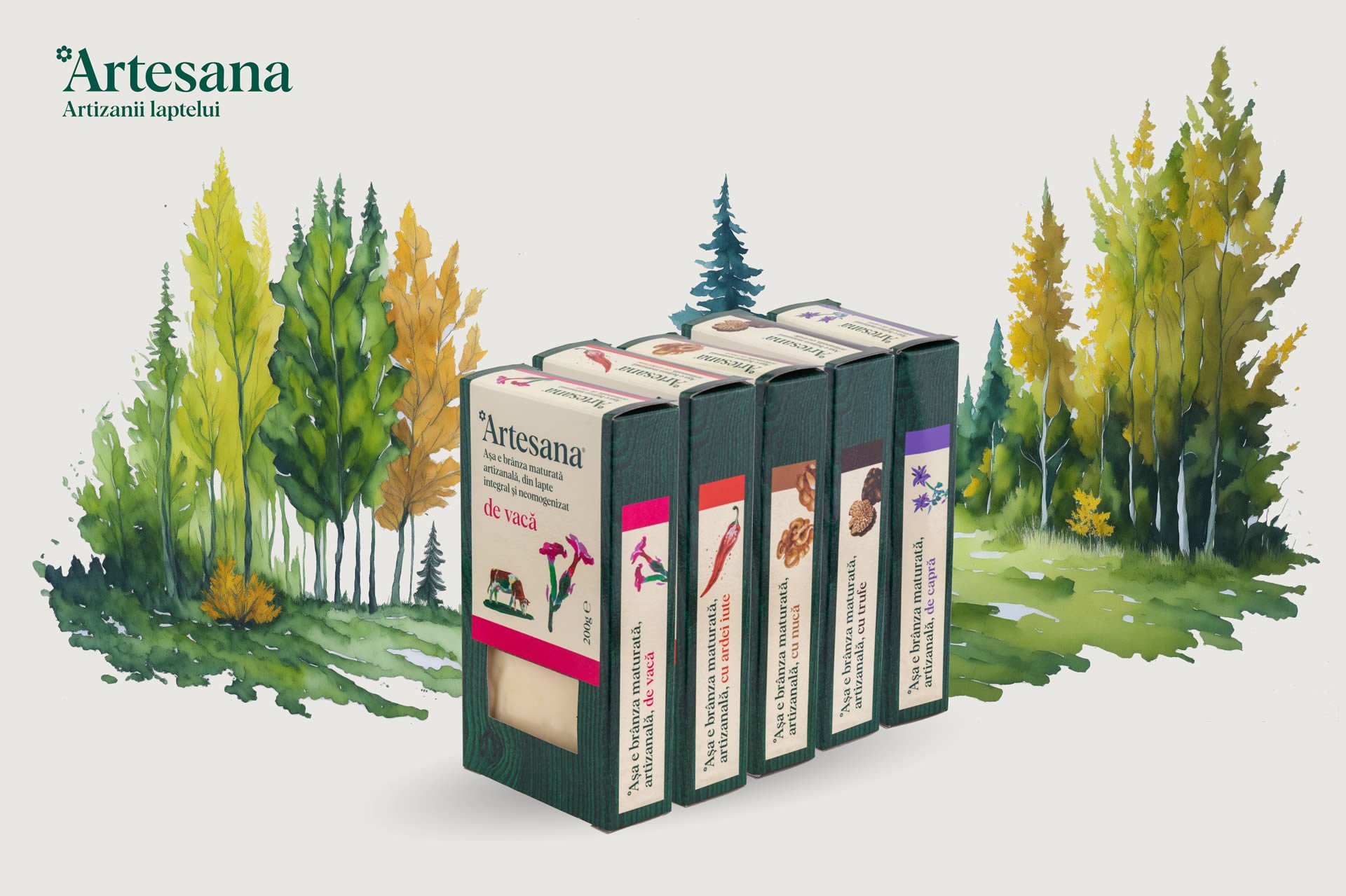 Cutii de branza maturata Artesana - branza maturata de vaca, branza maturata cu peperoncino, branza maturata cu nuca, branza maturata cu trufe negre si branza maturata de capra