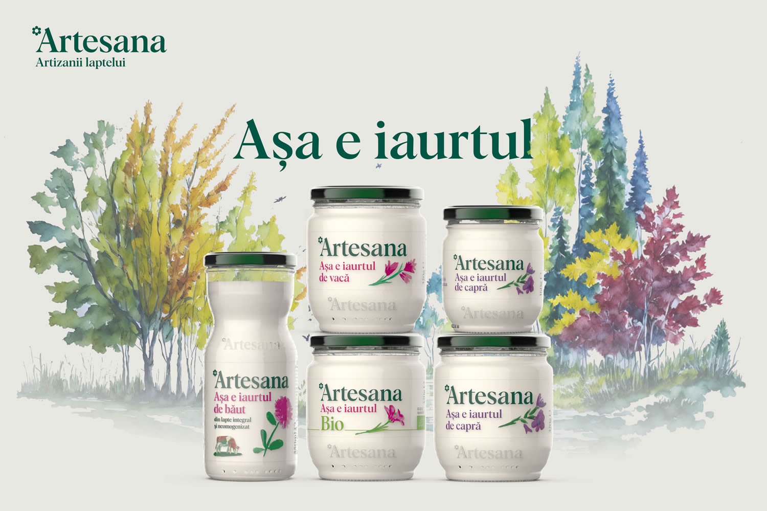 Iaurt de baut Artesana 350ml, Iaurt de vaca Artesana 320g, Iaurt bio de vaca Artesana 320g, Iaurt de capra Artesana 320g si iaurt de capra Artesana 160g