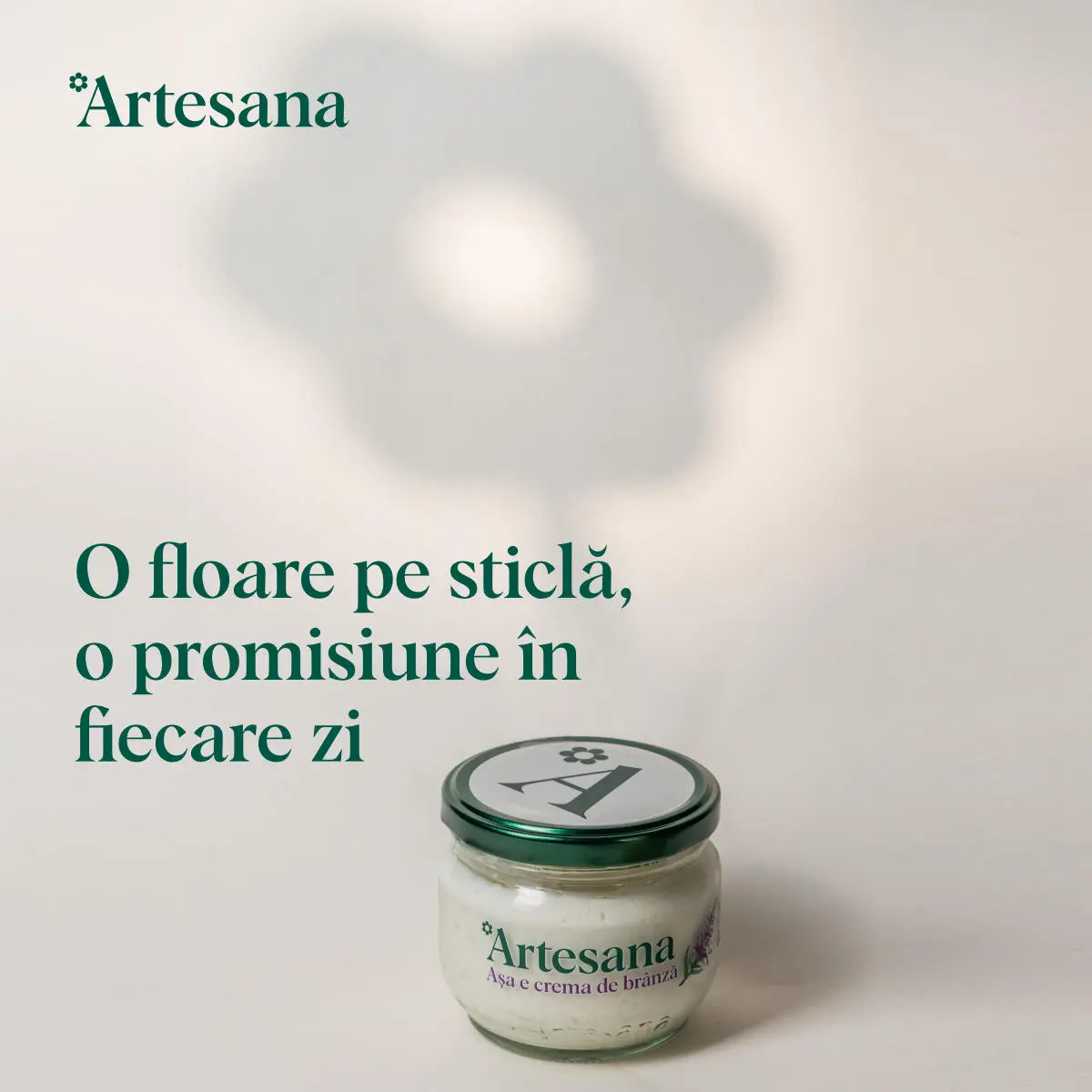 UN borcan de crema de branza de capra Artesana pe fundal crem cu umbra unei flori in spate