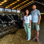 Doi fermieri tineri romani in ferma lor de vacute