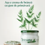 borcan de cremă de brânză Artesana cu mărar, din lapte integral de vacă, alături de o felie de pâine unsă cu cremă de brânză și decorată cu mărar proaspăt