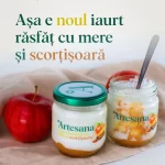 Noul iaurt Artesana cu măr și scorțișoară în borcan de sticlă, realizat din lapte integral pasteurizat la temperatură blândă, servit alături de mere proaspete și evidențiat ca desert lactat natural cu gust autentic și ingrediente simple.