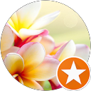 Cristiana D. profile picture